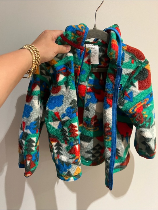 Patagonia Other - Patagonia Kids Multicolor Fleece Jacket — Green, Blue, Red